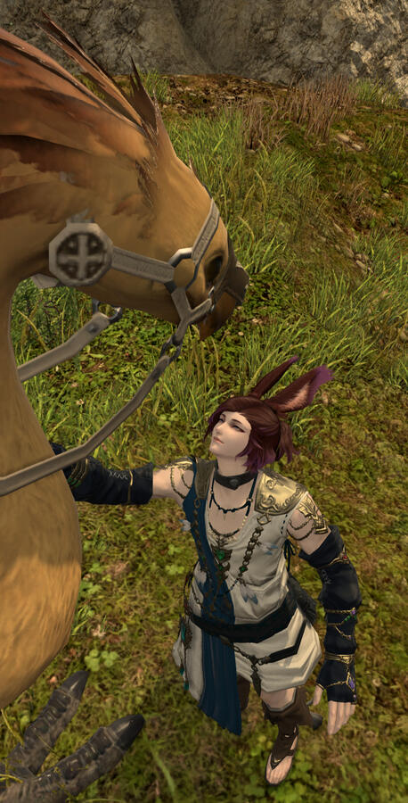 Chocobo Chocobo