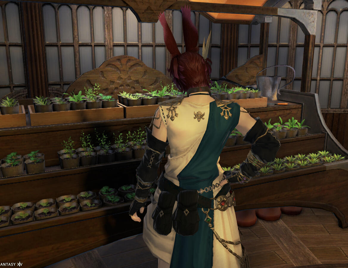 Botanist's Guild I